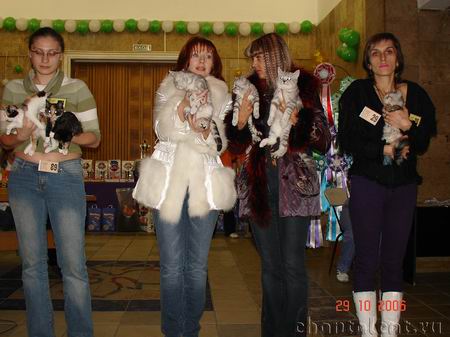 Выставка кошек в Саратове Best in show  